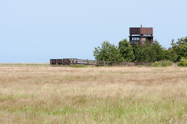 Bird observation tower at Nyord island (Denmark)