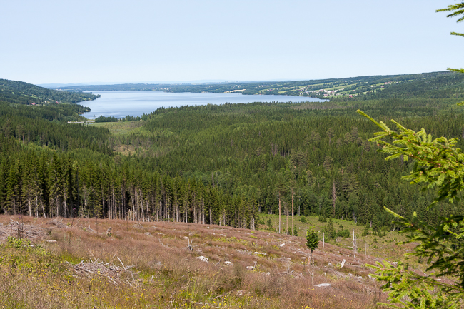 Lake Einavatnet (road 4, Oppland, Norway)
