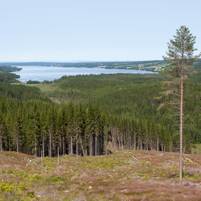 Lake Einavatnet (road 4, Oppland, Norway)