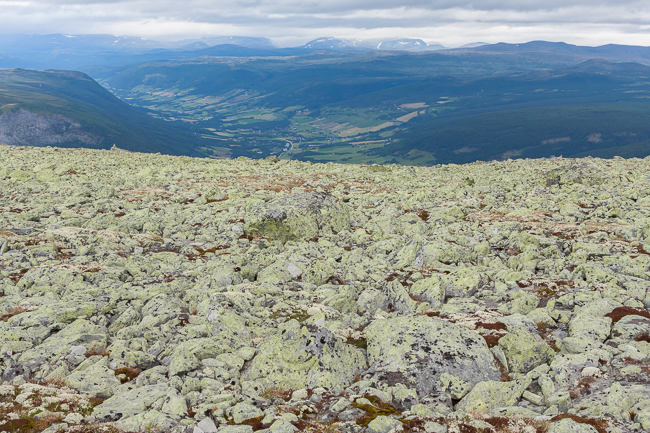 Barren landscape seen from Blahoe Mountain (Vaga, Oppland, Norway)
