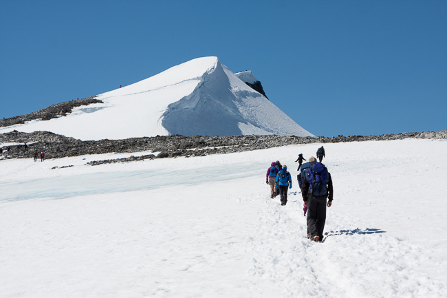 Glittertind mountain and Glitterbrean glacier (Jotunheimen National Park, Norway)