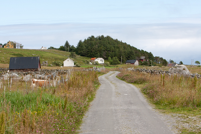 Dirt road at Runde Island (Norway)