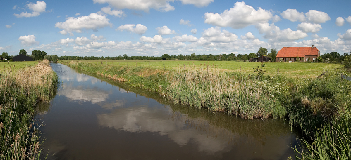 Panorama of 