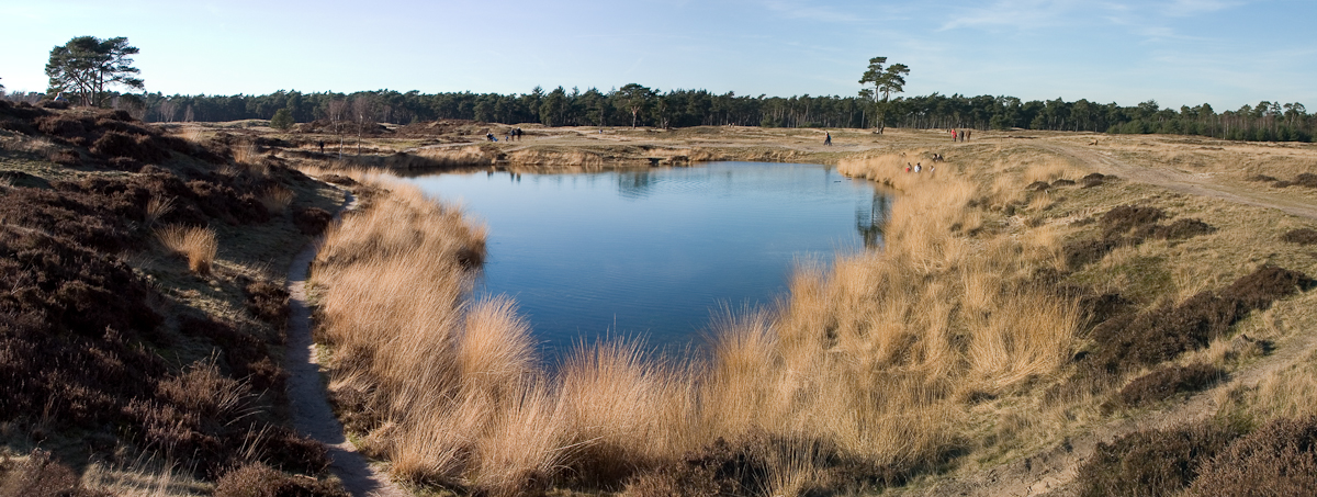 Pond at estate Heidestein (Zeist, the Netherlands)