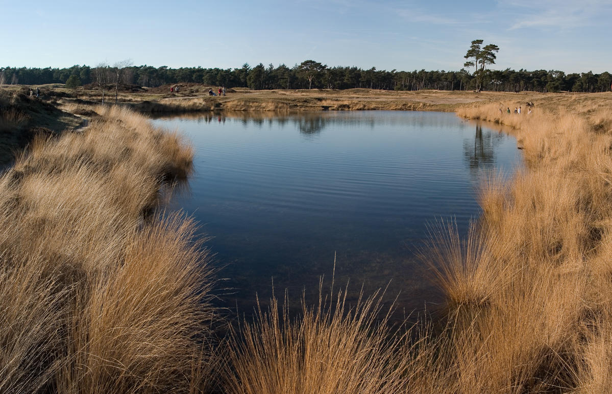Pond at estate Heidestein (Zeist, the Netherlands)